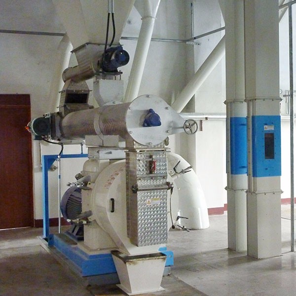 Cattle and sheep feed unit